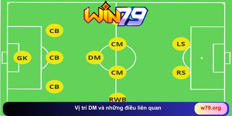 DM là vị trí nào và những điều bạn cần biết - TAVON