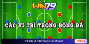 THỂ THAO - win79 | Thiên Đường Game Bài Đổi Thưởng - TAVON