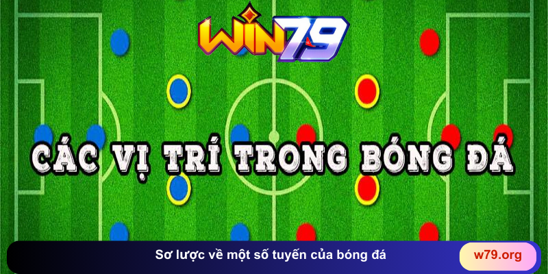 Các vị trí trong bóng đá đầy đủ và chi tiết nhất - TAVON