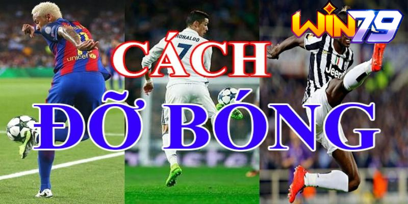Một vài vấn đề thú vị liên quan đến cách đỡ bóng dính - TAVON
