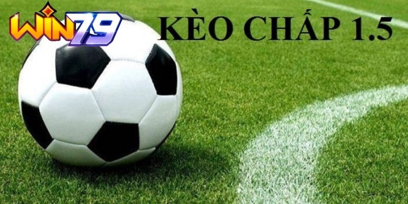 Giải đáp dễ hiểu về kèo chấp ½ Win79 cho anh em mới chơi - TAVON