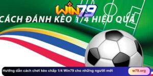 THỂ THAO - win79 | Thiên Đường Game Bài Đổi Thưởng - TAVON