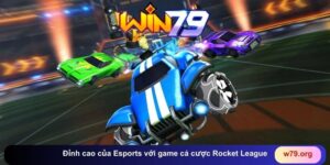 THỂ THAO - win79 | Thiên Đường Game Bài Đổi Thưởng - TAVON