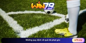 THỂ THAO - win79 | Thiên Đường Game Bài Đổi Thưởng - TAVON