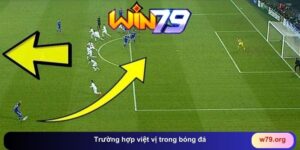 THỂ THAO - win79 | Thiên Đường Game Bài Đổi Thưởng - TAVON