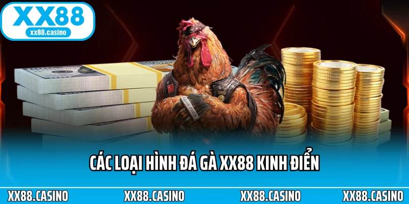 Trải Nghiệm Đá Gà XX88 - Căng Thẳng Từng Pha Ra Đòn - TAVON Trải Nghiệm Đá Gà XX88 - Căng Thẳng Từng Pha Ra Đòn - TAVON