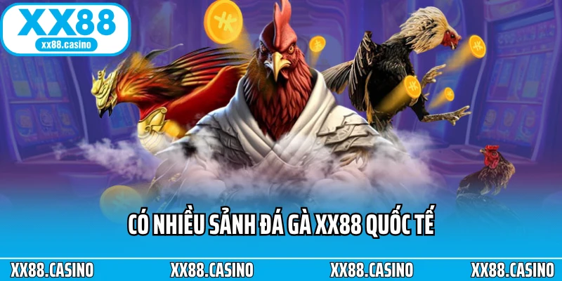 Trải Nghiệm Đá Gà XX88 - Căng Thẳng Từng Pha Ra Đòn - TAVON Trải Nghiệm Đá Gà XX88 - Căng Thẳng Từng Pha Ra Đòn - TAVON