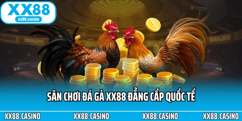 Trải Nghiệm Đá Gà XX88 - Căng Thẳng Từng Pha Ra Đòn - TAVON Trải Nghiệm Đá Gà XX88 - Căng Thẳng Từng Pha Ra Đòn - TAVON