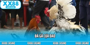 Trải Nghiệm Đá Gà XX88 - Căng Thẳng Từng Pha Ra Đòn - TAVON