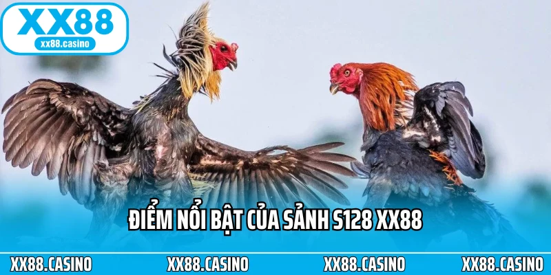 S128 XX88 - Trải Nghiệm Đá Gà Online Chuẩn Quốc Tế - TAVON S128 XX88 - Trải Nghiệm Đá Gà Online Chuẩn Quốc Tế - TAVON