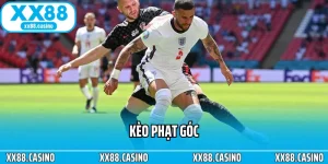 Thể Thao XX88 - Bùng Nổ Kèo Ngon, Thắng Đậm Liền Tay - TAVON