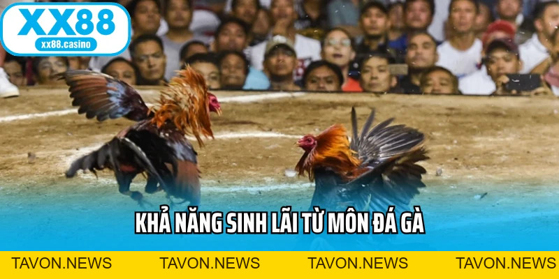 S128 XX88 - Trải Nghiệm Đá Gà Online Chuẩn Quốc Tế - TAVON S128 XX88 - Trải Nghiệm Đá Gà Online Chuẩn Quốc Tế - TAVON