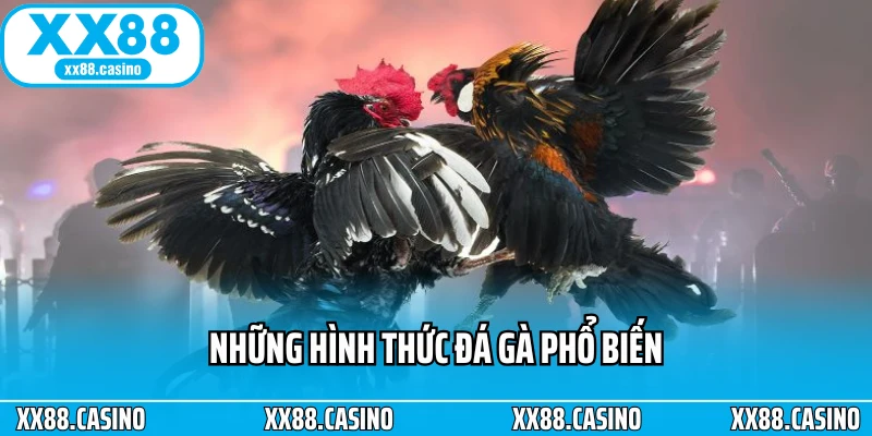 S128 XX88 - Trải Nghiệm Đá Gà Online Chuẩn Quốc Tế - TAVON S128 XX88 - Trải Nghiệm Đá Gà Online Chuẩn Quốc Tế - TAVON