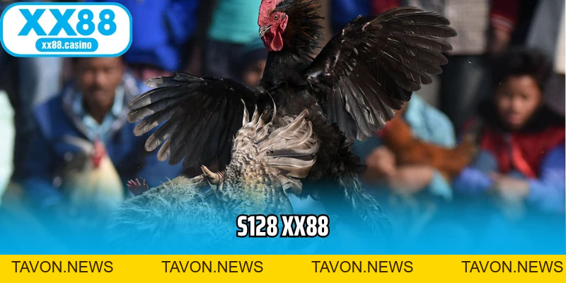 S128 XX88 - Trải Nghiệm Đá Gà Online Chuẩn Quốc Tế - TAVON