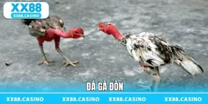 Trải Nghiệm Đá Gà XX88 - Căng Thẳng Từng Pha Ra Đòn - TAVON