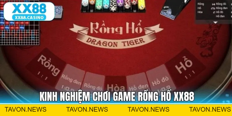 Rồng Hổ XX88: Hướng Dẫn Chơi Và Mẹo Đặt Cược Dễ Trúng Lớn - TAVON
