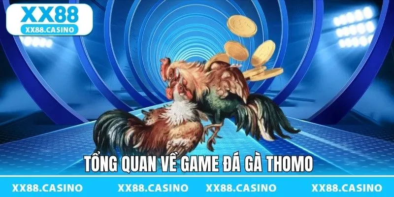Đá Gà Thomo - Theo Dõi Trận Chiến Giữa Các Thần Kê Tại XX88 - TAVON Đá Gà Thomo - Theo Dõi Trận Chiến Giữa Các Thần Kê Tại XX88 - TAVON